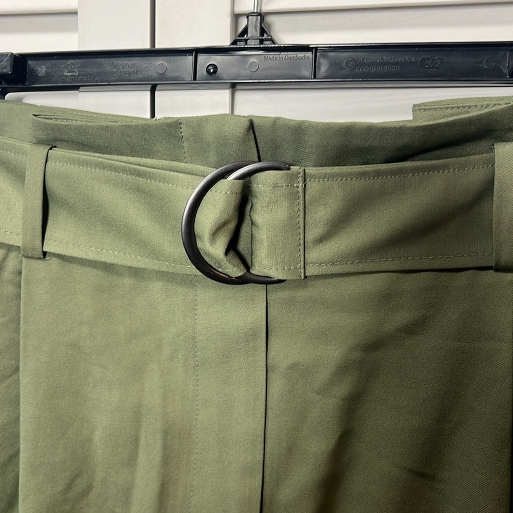Elizabeth and James || NWT|| High Waisted Pleated Belted Shorts - Picture 6 of 16